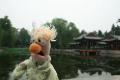 Beaker at the Summer Palace