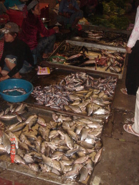 Verse vis.(markt Siem Reap)