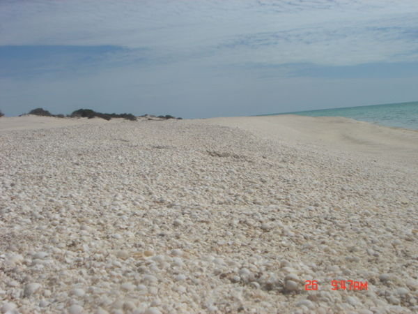 Shell beach.