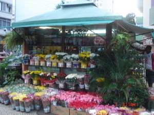 Amsterdams bloemen stalletje in Rio.