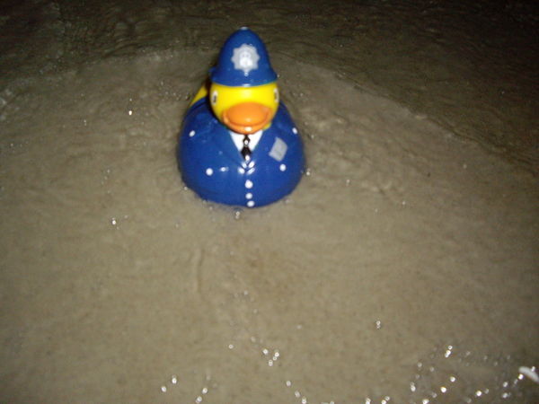 Duckie night swimming.
