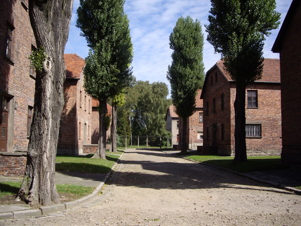 Main Road Inside Auschwitz
