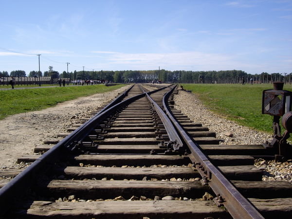 The Tracks Which Start at Auschwitz and Terminate At The Gas Chambers in Birkenau