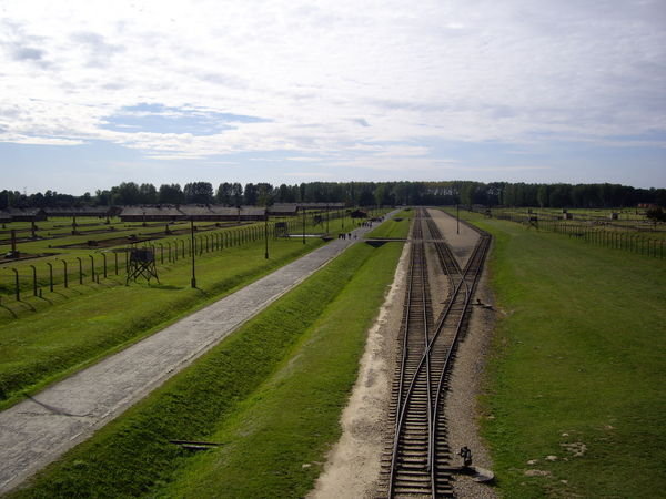 View of Tracks From a Tower in Birkenau