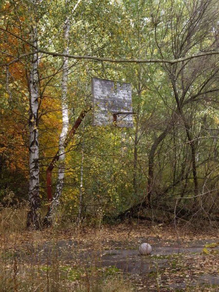 Old School Yard - Basketball Hoop