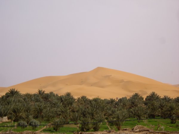 Sand Dune in Hassi Labied