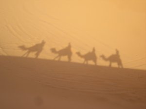 Shadow Camels