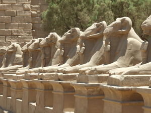 Ramheaded Sphinxes at Luxor