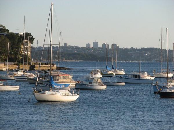 The harbour at Manly