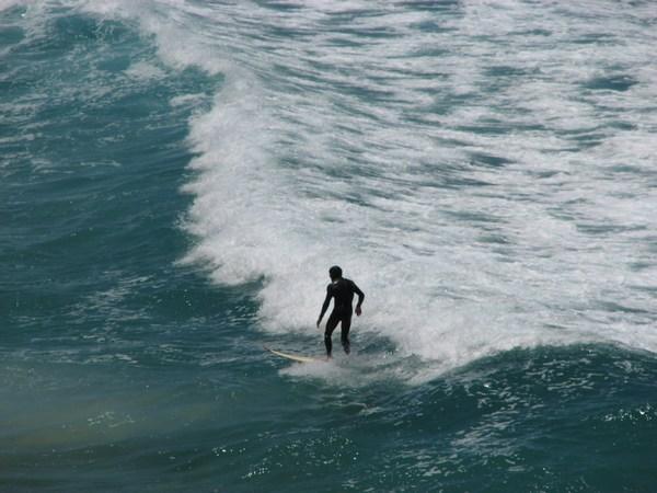 Surfing at Bondi
