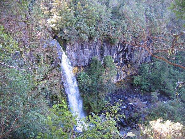 Dawson Falls - on the lower slopes of Mount Taranaki