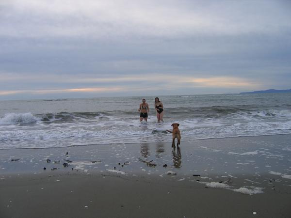 A sunrise swim in the sea in the middle of winter..... the dog wasn't stupid enough but somehow Christinae and I got talked into it!! And the water was sooooo cold