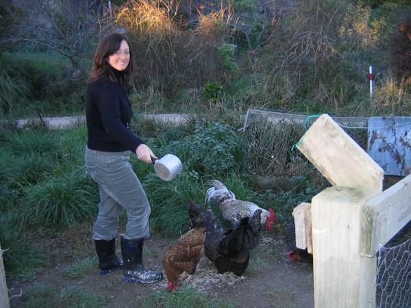 A day in the life of a hostel Woofer... making beds, cleaning toilets and feeding chickens..... 