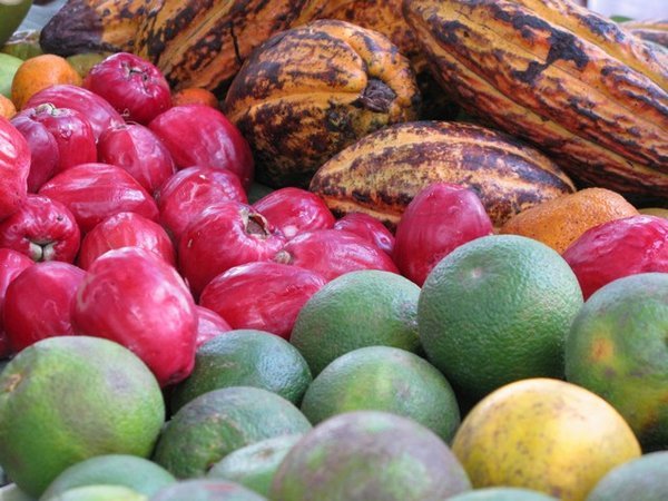 Fruits of Zanzibar