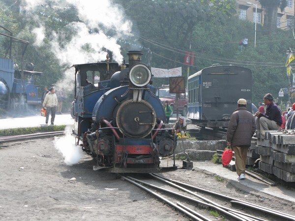 The steam train at Darjeeling