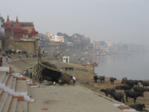 Life on the Ganges