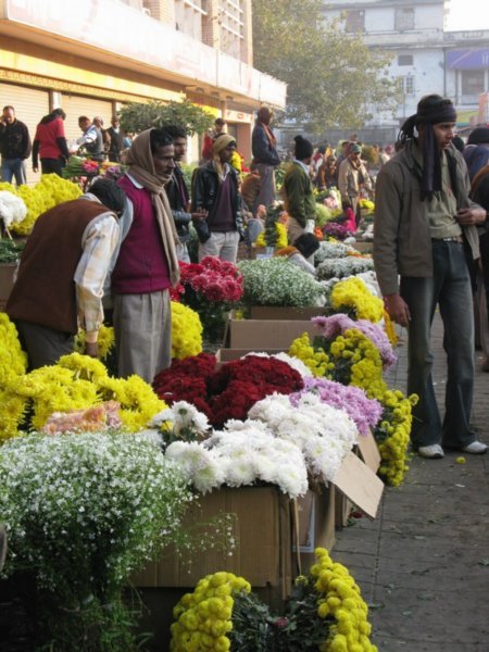 Delhi flower market