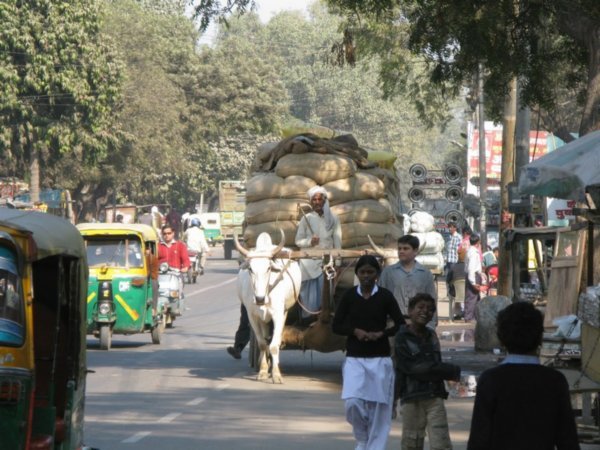 Street life, Agra