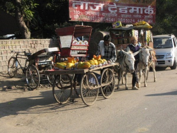 Street Life, Agra