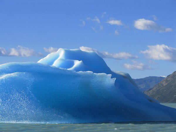 Icebergs on Lake Viedma