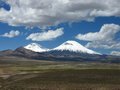 The road to Bolivia, Lauca National Park