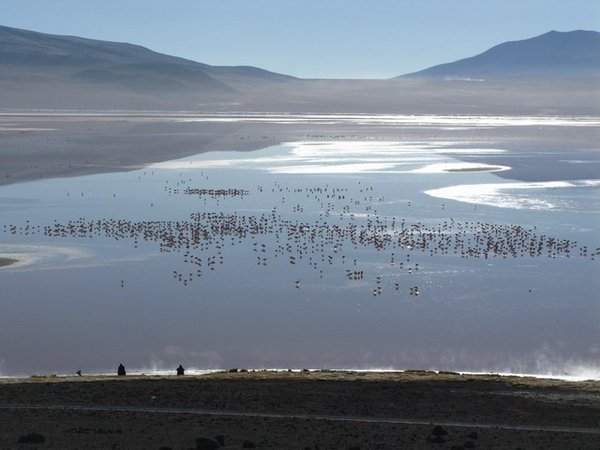 Day 3: The flamingos await - Laguna Colorada