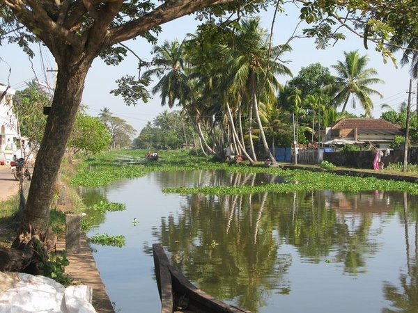 The canals of Alleppey