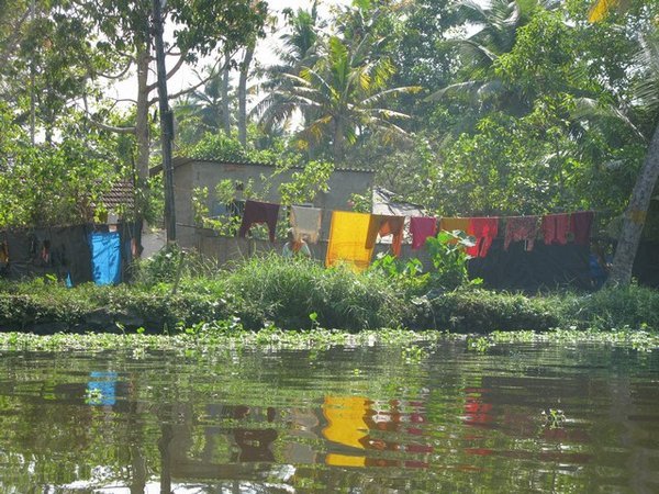 The backwaters, Alleppey