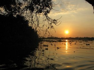 Sunset on the backwaters, Alleppey