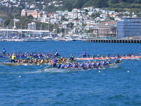 Dragon Boat racing in Wellington