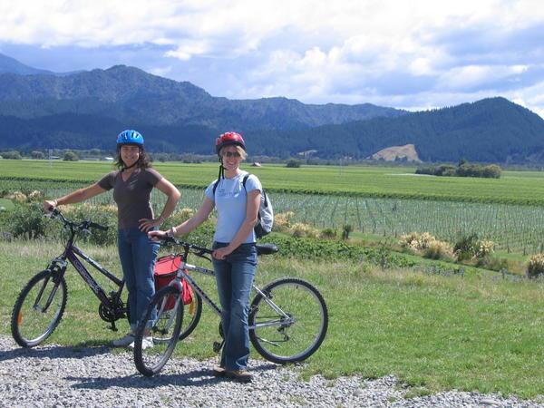 Liz and Pam cycling round the vineyards at Marlborough