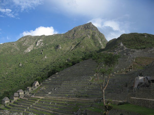 The stepped terraces 