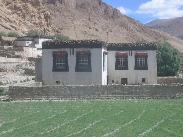 Typical Tibetan house in this area.