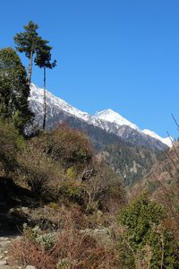 Annapurna Day 4