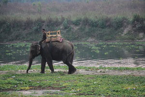 on the way to the elephant safari