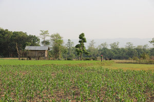Villages around Sauraha