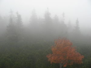 Fog on Snezkou mountain
