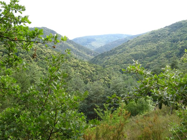 The Labastide valley