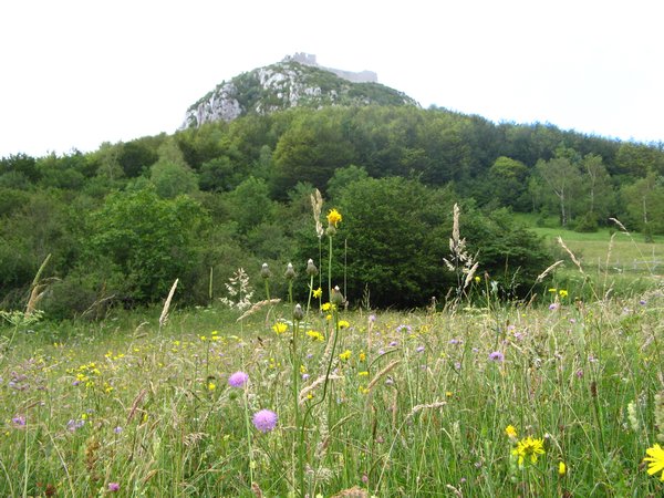 Montsegur castle viewed from the Meadow of the Burned