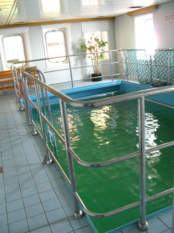 The on-board swimming pool