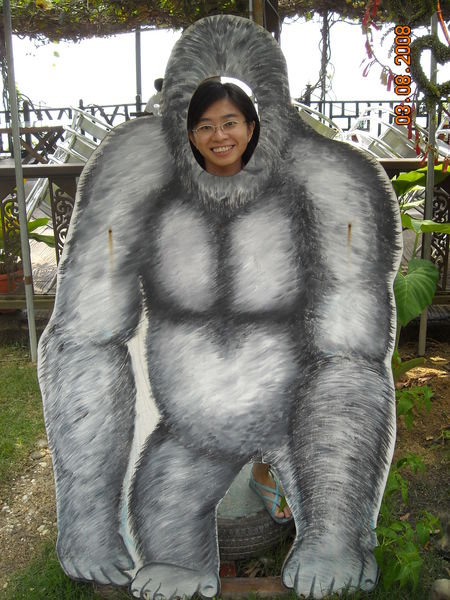 Gorilla Teh 