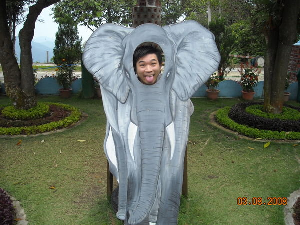 Elephant Chris