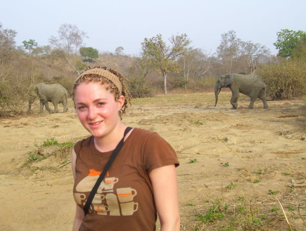 To give you some context as to how close we were to the elephants...