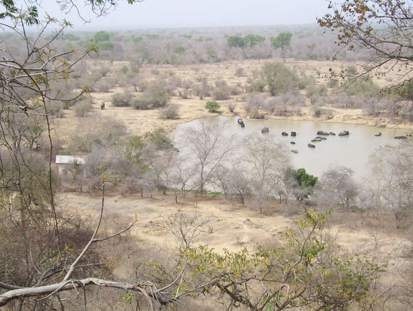 View of the watering hole from the top of the hill