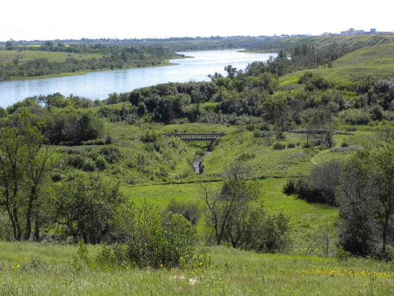 The Saskatchewan River