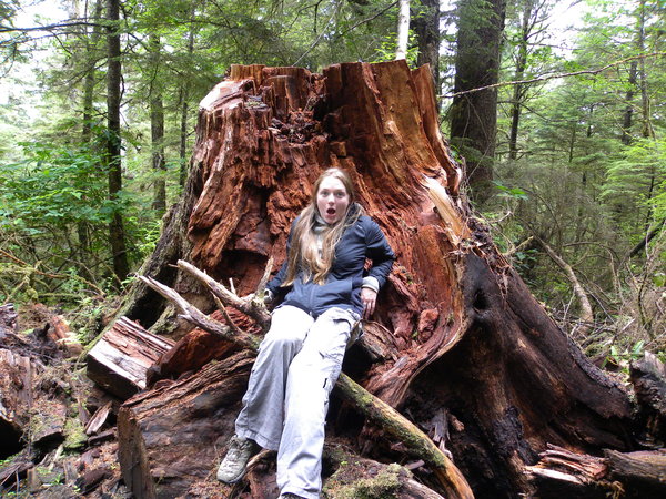 Queen of the Cedar Stump