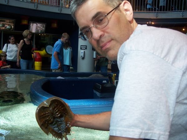 Jerry and a horseshoe crab