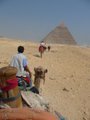 Camel trek to the pyramids