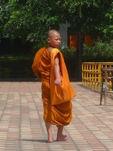 Every male is expected to become a monk for a few years at least at some point in their lives.