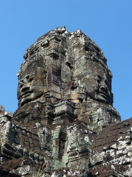 The many faces of Bayon